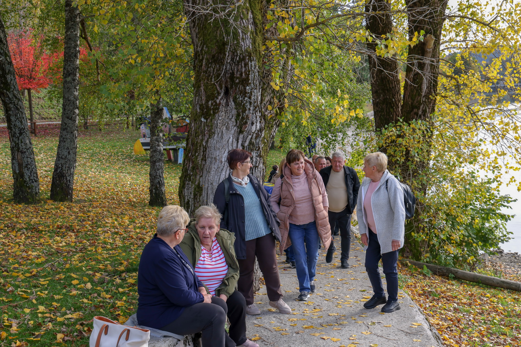 Klikni na fotografiju za uvecanje